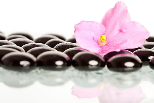 Spa stones and pink flower on colorful spring background
