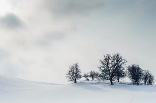 Harsh winter landscape with visible trees on the top of the hill, sun and clouds in the white sky.