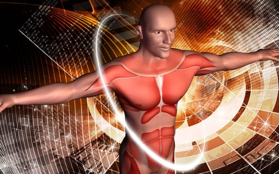 Digital illustration of human body in colour background