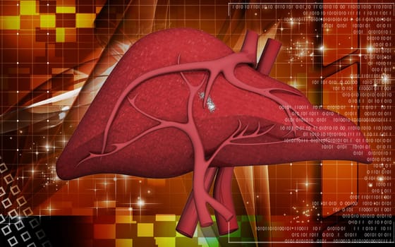 Digital illustration of liver in colour background