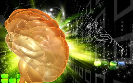Digital illustration of brain in colour background