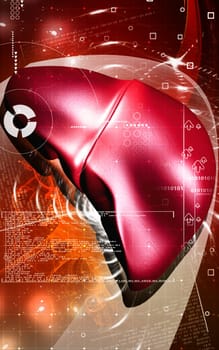 Digital illustration of liver in colour background