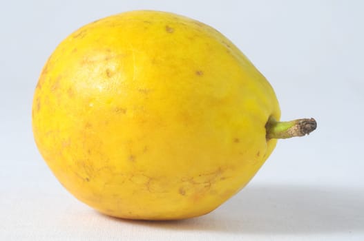 Very Ripe Healthy guayaba on a White Background