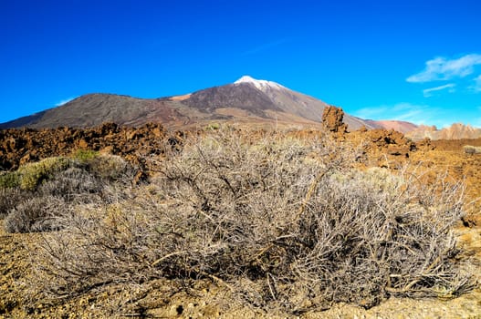 Desert Landscape in Volcan Teide National Park, Tenerife, Canary Island, Spain