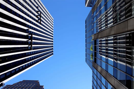 Modern office buildings and skyscraper background perspective