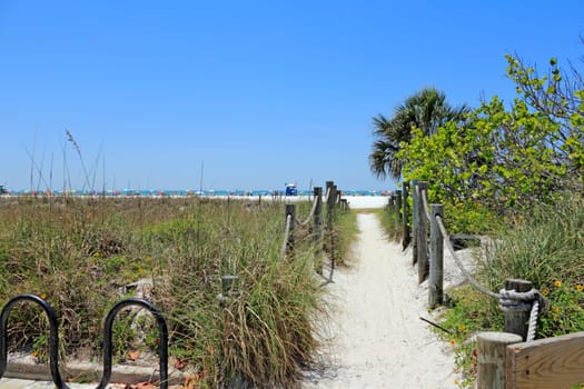 SIESTA KEY, FLORIDA - MAY 9, 2013:Long sand path past grasses and foliage to popular, sunny and busy Siesta Beach on Siesta Key.
