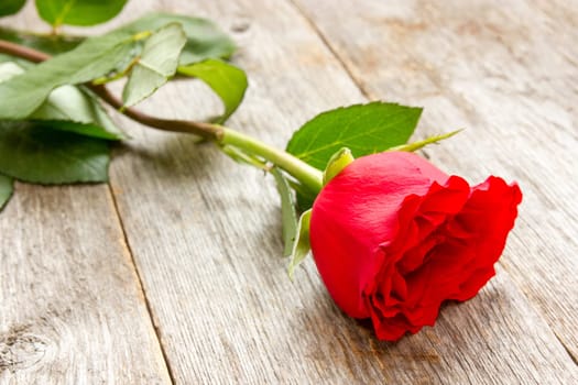 Red rose on a old wood background