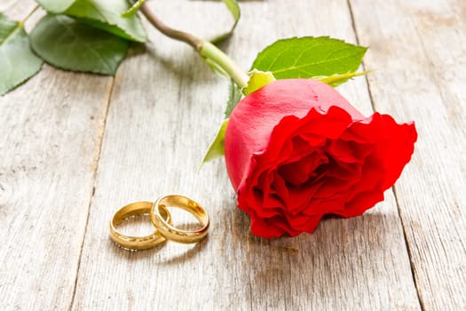Two golden rings and red rose on old wood background