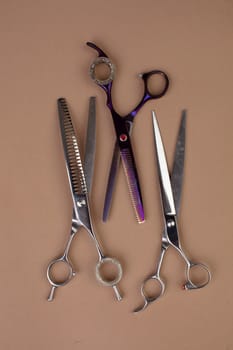 Tool for the groomer on a beige background. Dog grooming accessories. Scissors for cutting animals. View from above