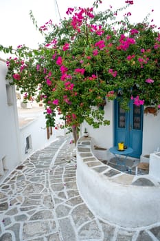 Bougainvillea in the streets of Lefkes, Paros