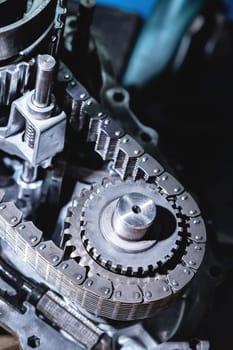 Close-up of a transfer case chain with gear removed from the transmission.
