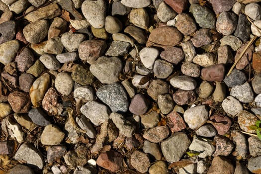 Texture of a stone street path with withered leaves. Stone texture.