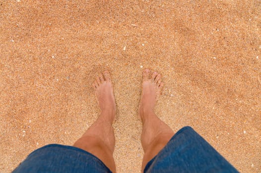Top view of male legs in blue shorts on golden sand in sunlight. Looking down at a man in shorts standing on the sea sandy beach.