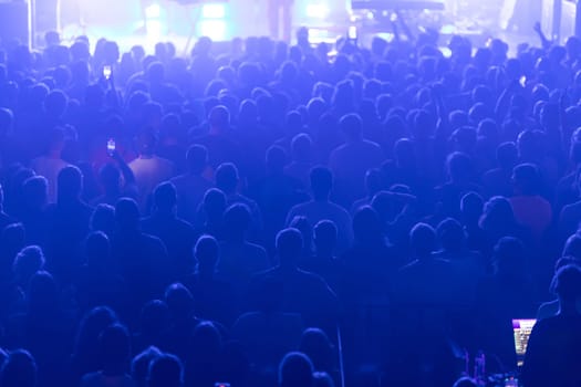 A concert scene showcasing a densely packed, engaged, and lively audience.