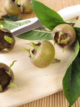 Medlars for the production of wild fruit jam