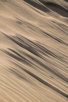 Texture Sand Dune Desert in Gran Canaria Island Spain