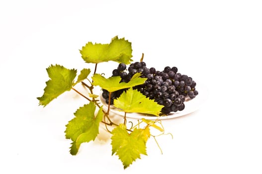 fresh red grapes with vine leaves on white background