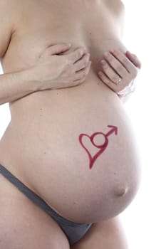 Details of a belly during pregnancy with text isolated on white background.