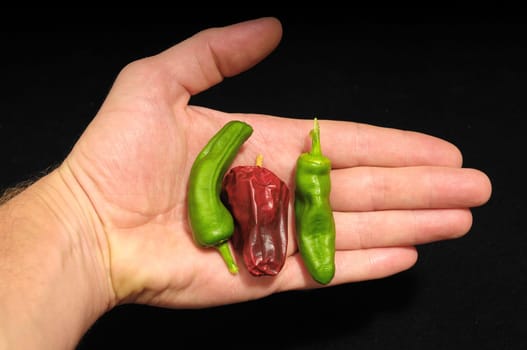 Some Very Hot Chili Peppers Ready to Cook