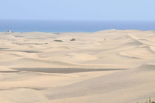 An Orange Sand Desert in Gran Canaria Island, Spain