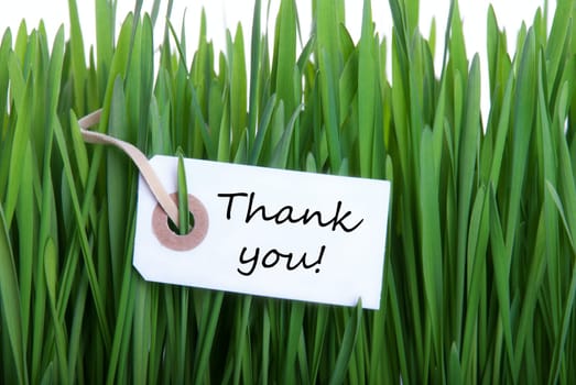 Gras Background with Label with Thank You on it