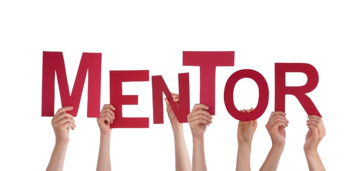 Many Hands Holding the Red Word Mentor, Isolated