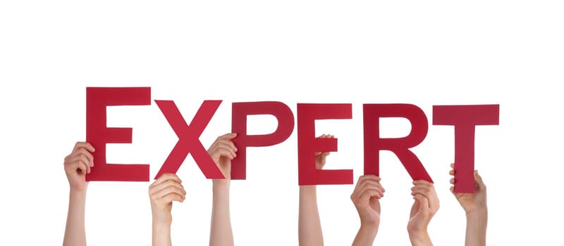 Many People Holding the Red Word Expert, Isolated