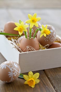 Fresh daffodils in eggshell and painted Easter eggs