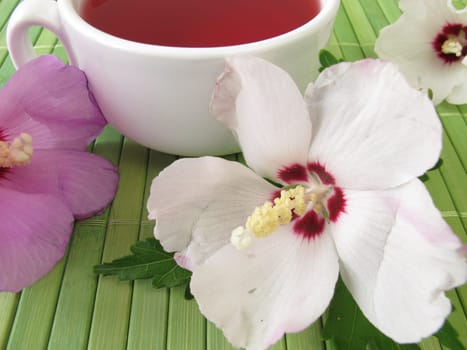 Tea with hibiscus flowers