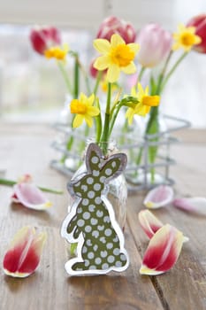 Fresh yellow daffodils in small bottle and small Easter bunny