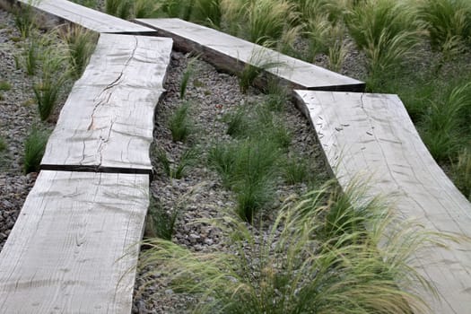 Plank path in a garden