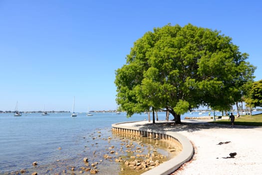 SARASOTA, FLORIDA - MAY 9, 2013