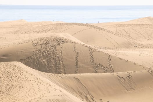African European Sand Dune Desert Landscape in Gran Canaria Island Spain