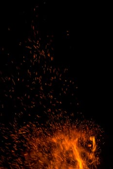 firewood burned in a bonfire closeup