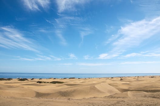 African European Sand Dune Desert Landscape in Gran Canaria Island Spain