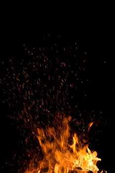 firewood burned in a bonfire closeup