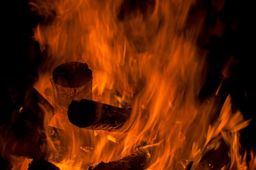 firewood burned in a bonfire closeup