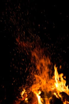 firewood burned in a bonfire closeup