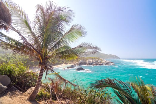 View of a palm tree and a bay with beautiful blue water in Tayrona National Park in Colombia