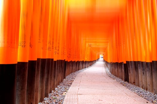 Fushimi Inari Taisha Shrine in Kyoto, Japan for adv or others purpose use