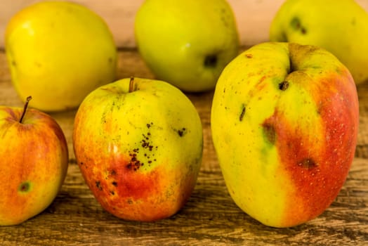 Apples,regional,organic product