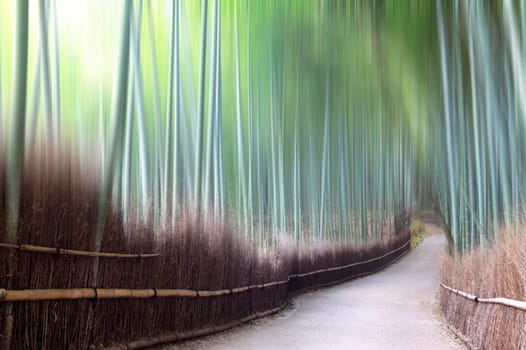 green bamboo fence background for adv or others purpose use