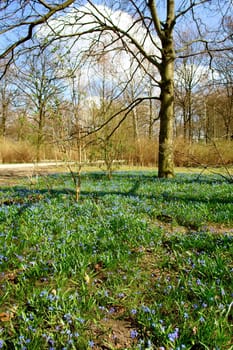 Tiergarten center city park, Berlin, Germany..
