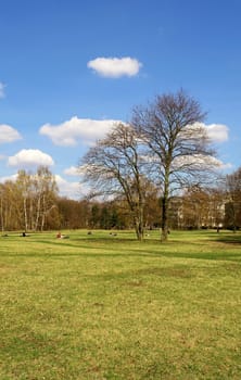 Tiergarten center city park, Berlin, Germany..
