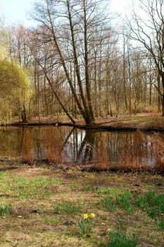 Tiergarten center city park, Berlin, Germany..