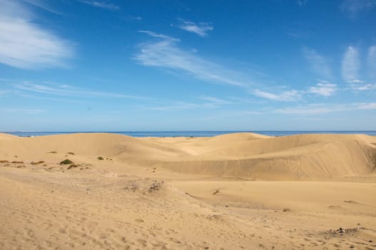 African European Sand Dune Desert Landscape in Gran Canaria Island Spain