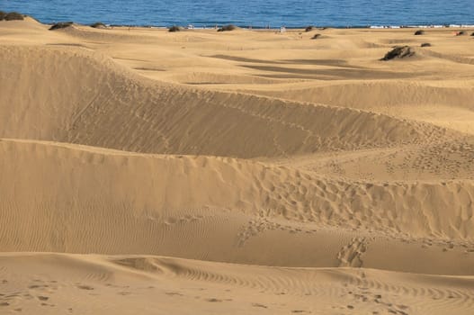 African European Sand Dune Desert Landscape in Gran Canaria Island Spain