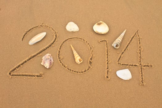 New year 2014 on the beach with shells