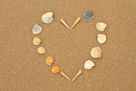 love heart made of shells on beach background concept image