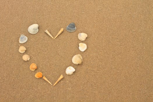 love heart made of shells on beach background concept image